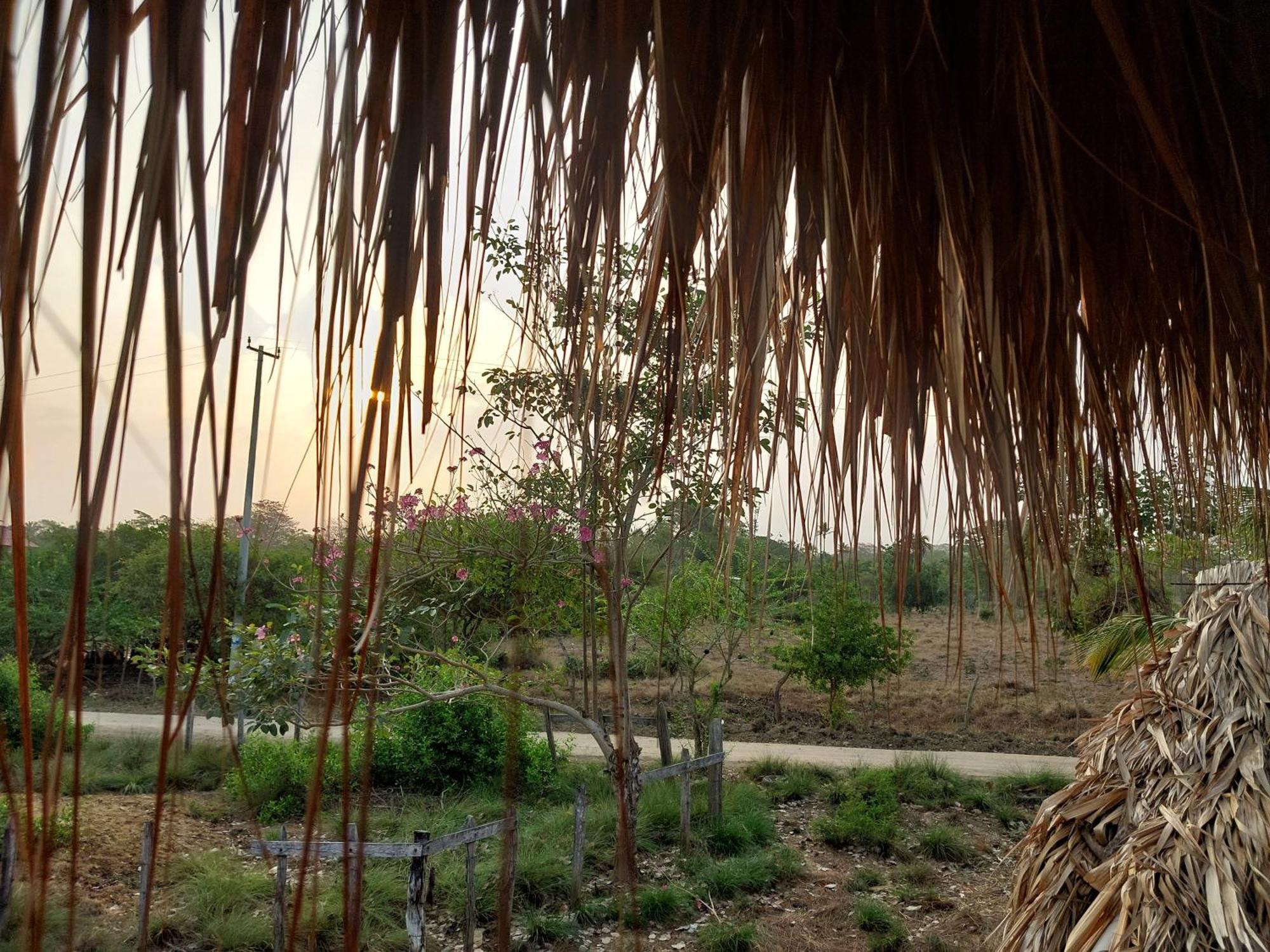 Hostel Nugeku Rincon ภายนอก รูปภาพ